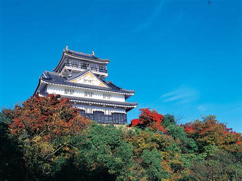 岐阜 観光 日帰りドライブ ～歴史と自然が織りなす一日の冒険～