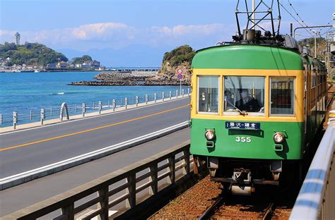 鎌倉 駐車場 安い そして、なぜかそこには猫がたくさんいる