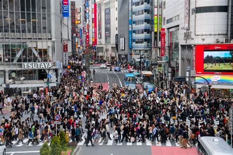 ビクトリア 新宿：都市の迷宮と文化の交差点